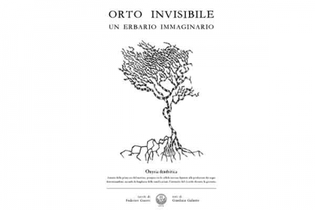 orto