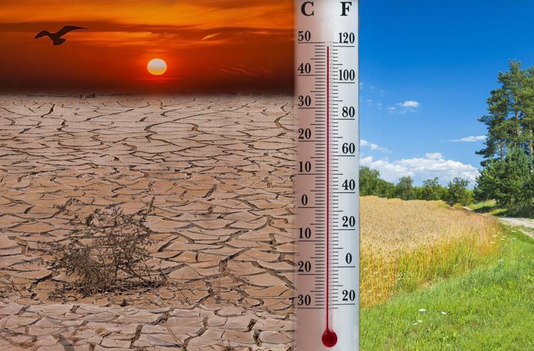 CLIMA. Copernicus: 2020 anno più caldo di sempre in Europa